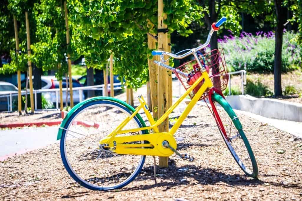 hi google cycle